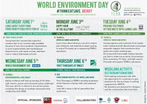 WED2013 Schedule (infographic)