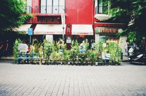 196594_10152114594200582_778413821_n