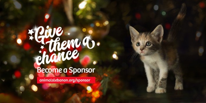 15355709_10155565377464922_4063638258952170400_n