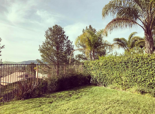 screen-shot-2017-03-06-at-6-01-37-pm